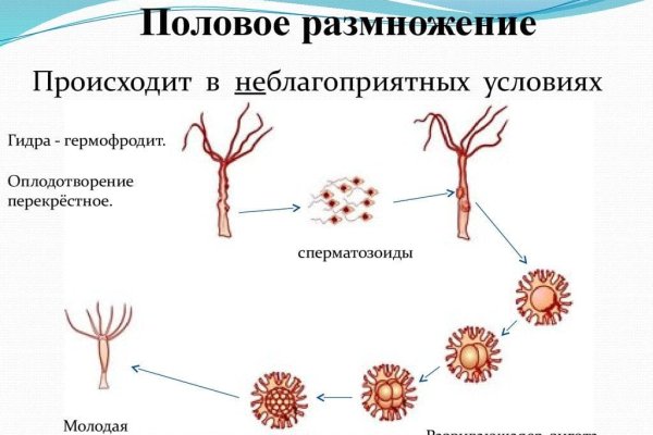 Кракен зайти