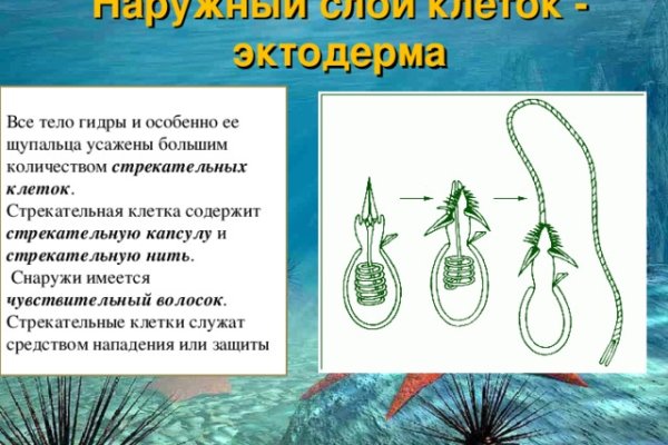Ссылка кракен kr2web in