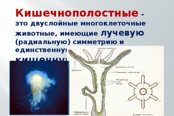 Кракен через браузер