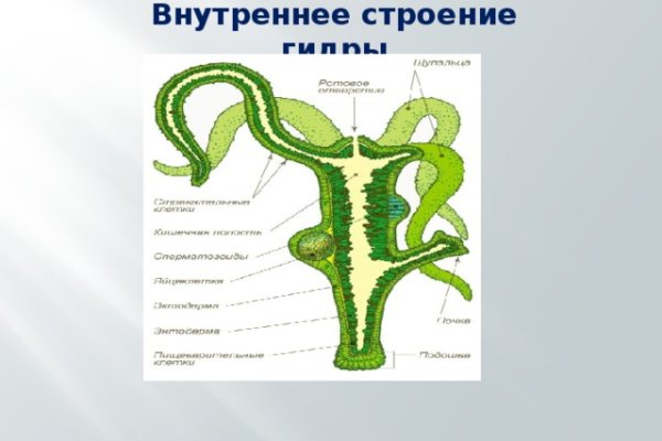 Кракен тор store